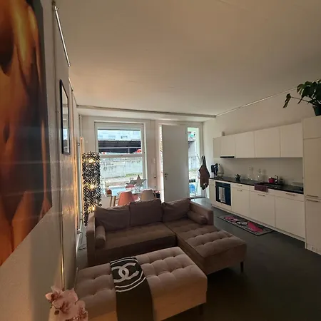 Apartment Loft By Messe With A Garden And 24h Service Basel